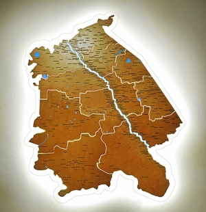 Карта Павлодарской области из дерева с подсветкой